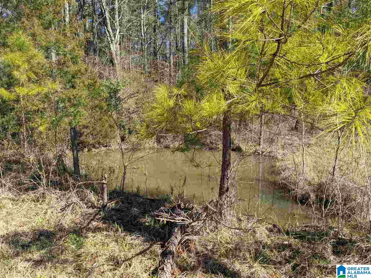 501 Eagle Bald Road Jacksonville, AL 36265 - Photo 39 of 49 Gallery Image 39