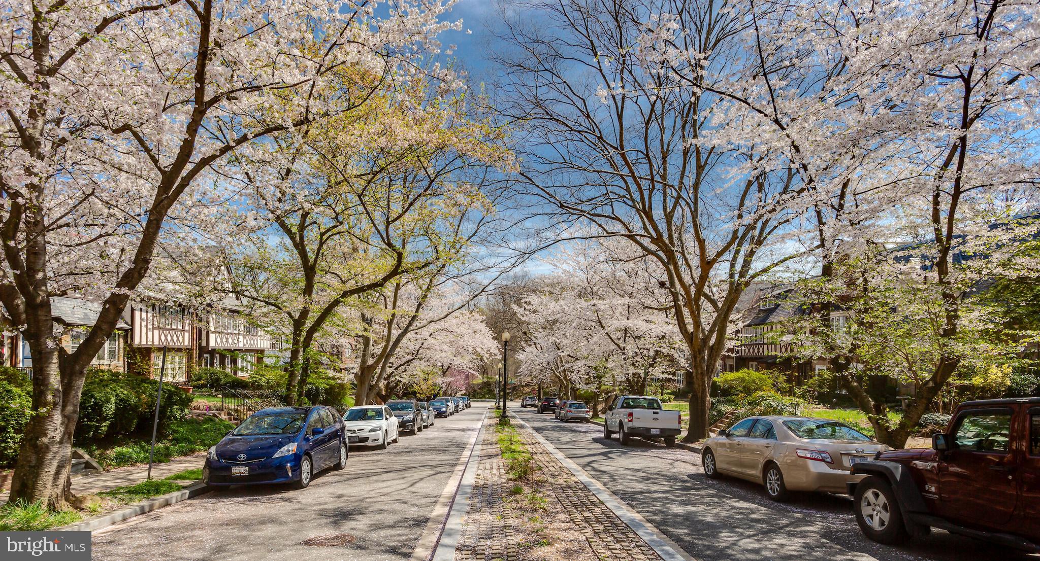 4415 P Street Northwest Washington, DC 20007 - Photo 57 of 61 Community