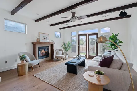 a living room with furniture potted plant and a fireplace