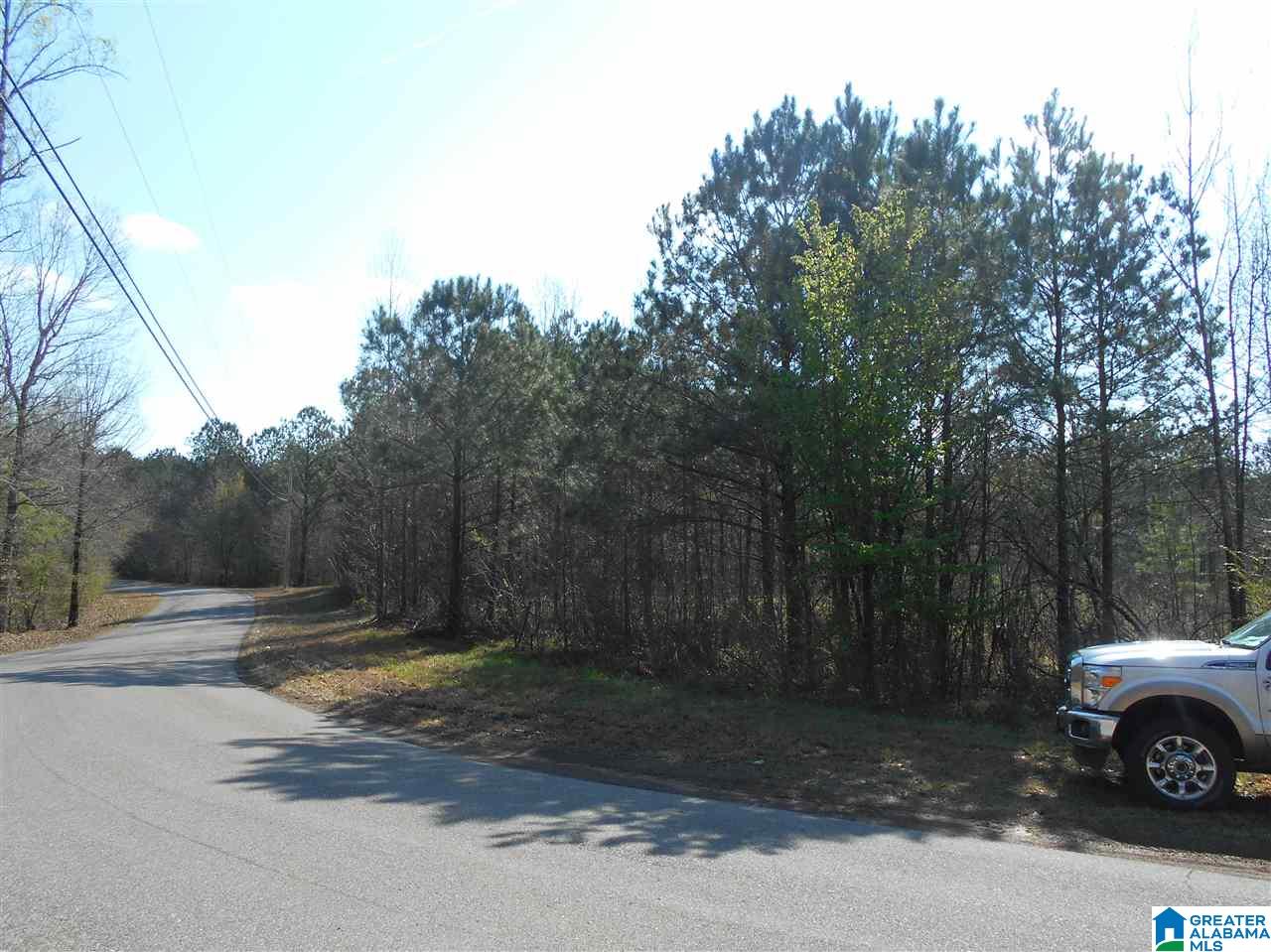 K D Byrd Station Road, Unit 30 Quinton, AL 35130 - Photo 1 of 5