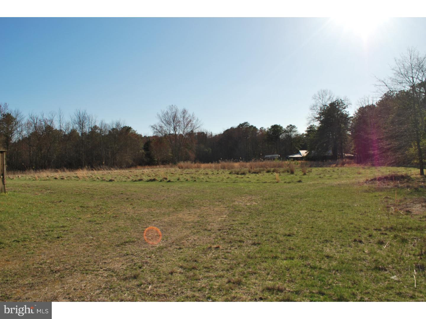 448 Magnolia Road Pemberton, NJ 08068 - Photo 18 of 20 Back Yard