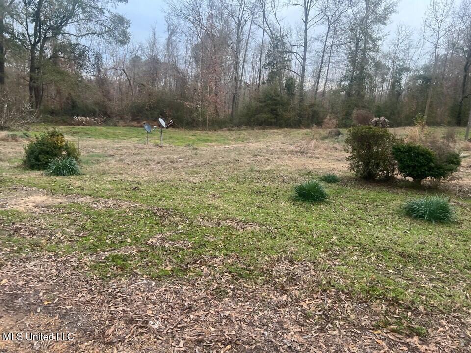 5454 Poplar Hill Road Fayette, MS 39069 - Photo 3 of 10 Picture130