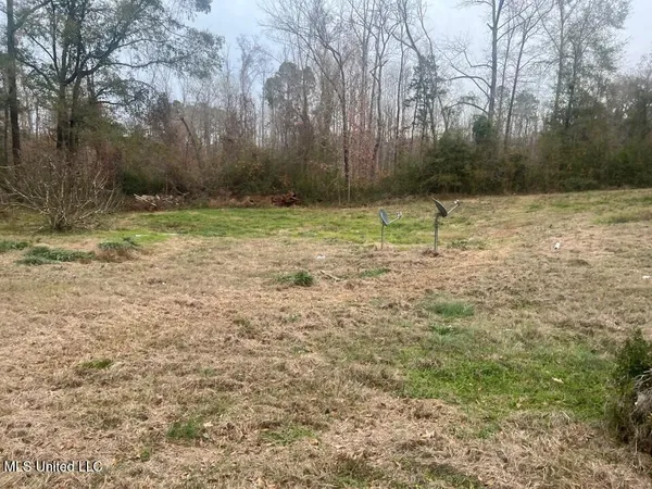 $9,900 | 5454 Poplar Hill Road, Fayette, MS 39069