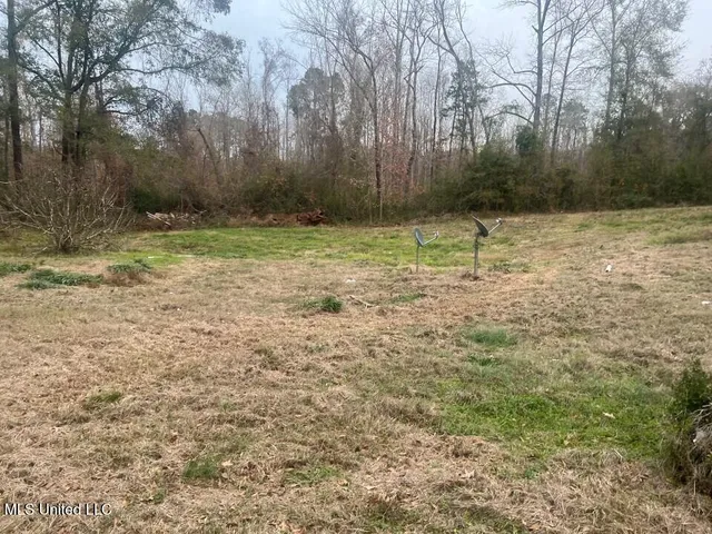 $19,900 | 5454 Poplar Hill Road, Fayette, MS 39069