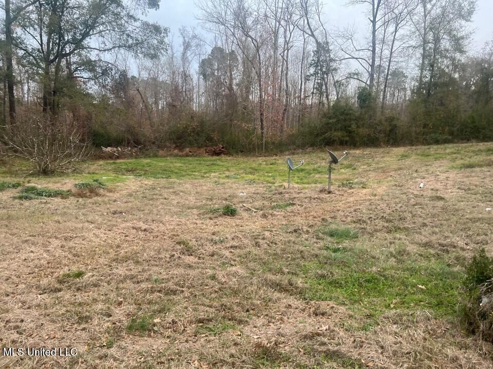 5454 Poplar Hill Road Fayette, MS 39069 - Photo 4 of 10 Picture131