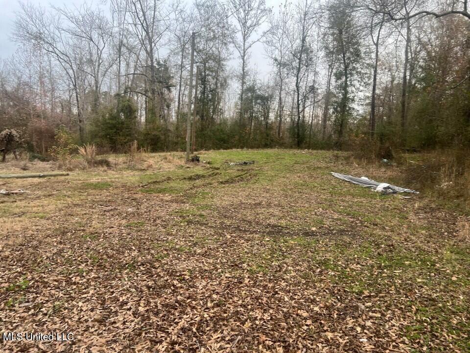 5454 Poplar Hill Road Fayette, MS 39069 - Photo 5 of 10 Picture132