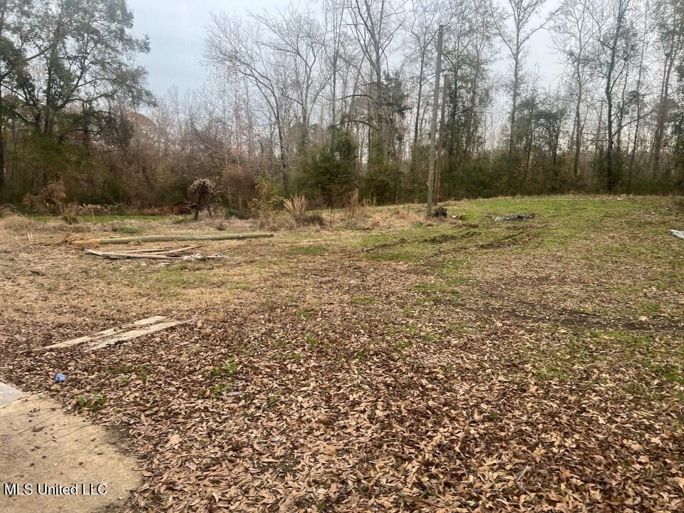 5454 Poplar Hill Road Fayette, MS 39069 - Photo 6 of 10 Picture133