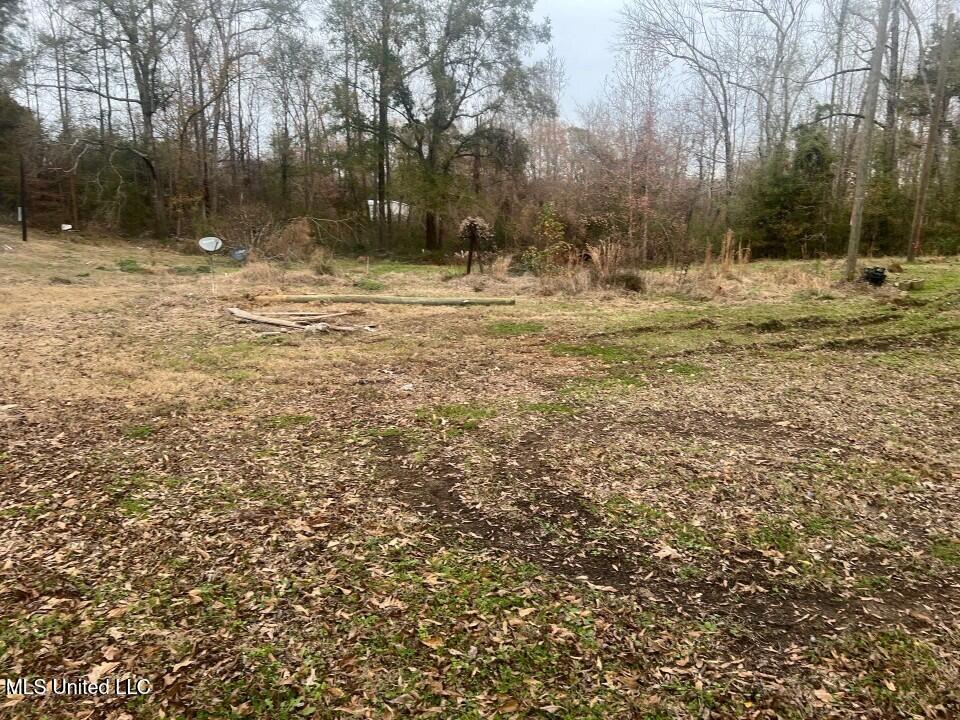 5454 Poplar Hill Road Fayette, MS 39069 - Photo 7 of 10 Picture134