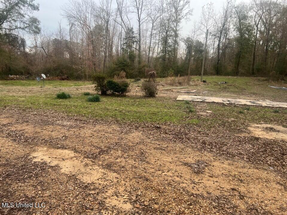 5454 Poplar Hill Road Fayette, MS 39069 - Photo 10 of 10 Picture138
