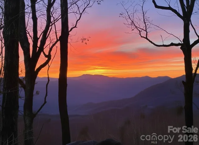 a view of mountain view with lots of trees