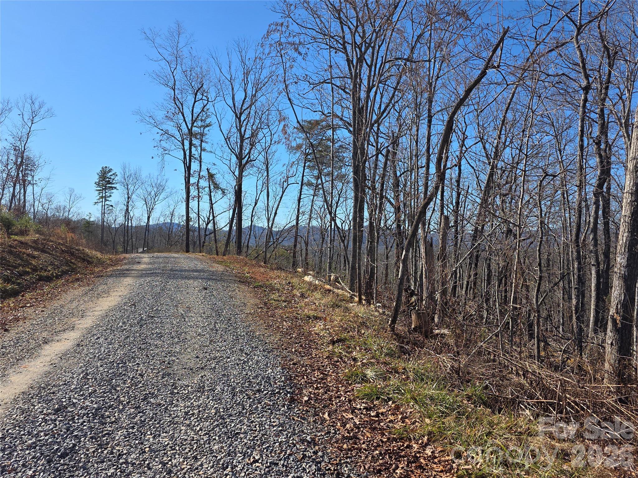 Lot 2 Warren Ridge Road Old Fort, NC 28762 - Photo 5 of 11 a view of a backyard