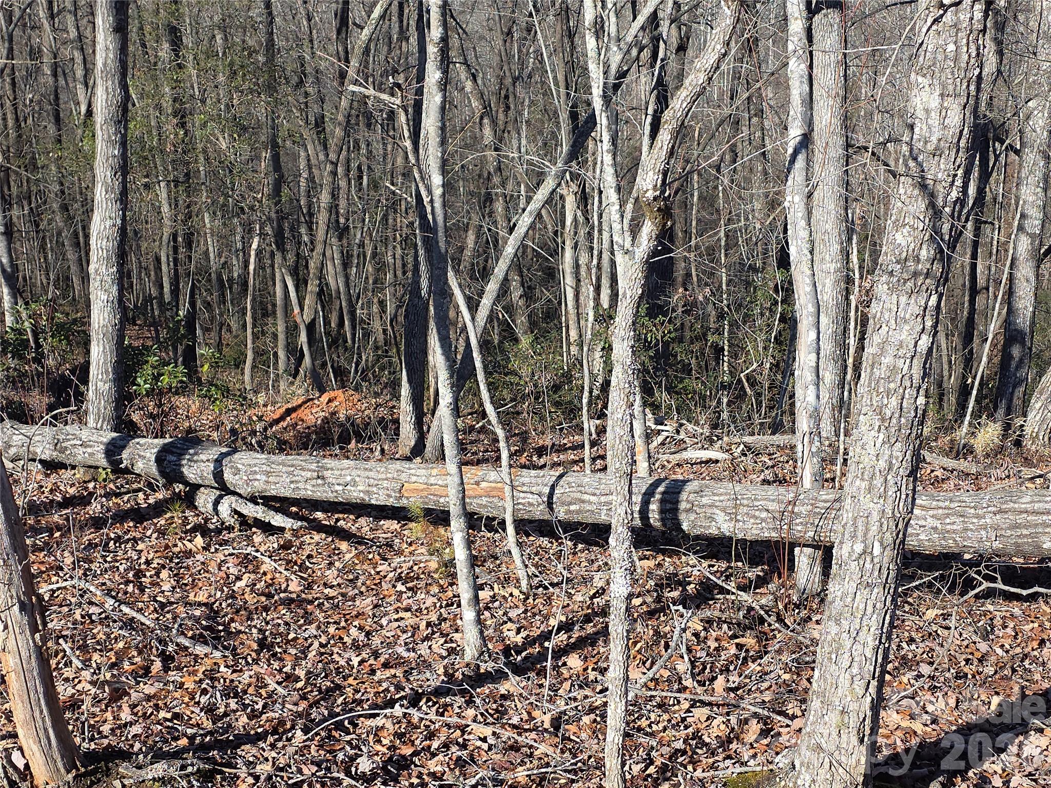 Lot 2 Warren Ridge Road Old Fort, NC 28762 - Photo 6 of 11