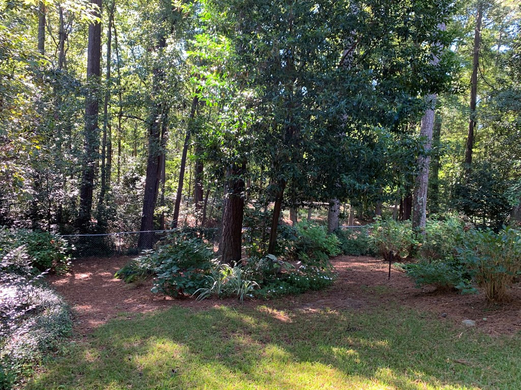 1946 Bolin Road North Augusta, SC 29841 - Photo 41 of 43
