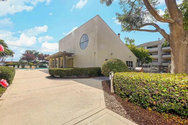 a view of a basket ball ground