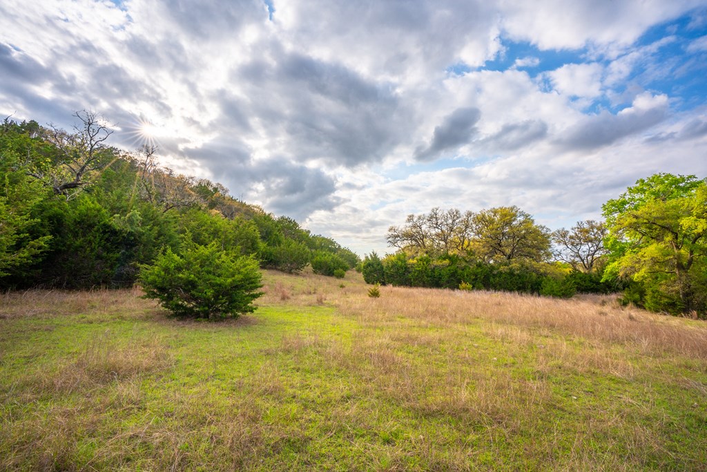 346 Crabapple Road Blanco, TX 78606 - Photo 13 of 20