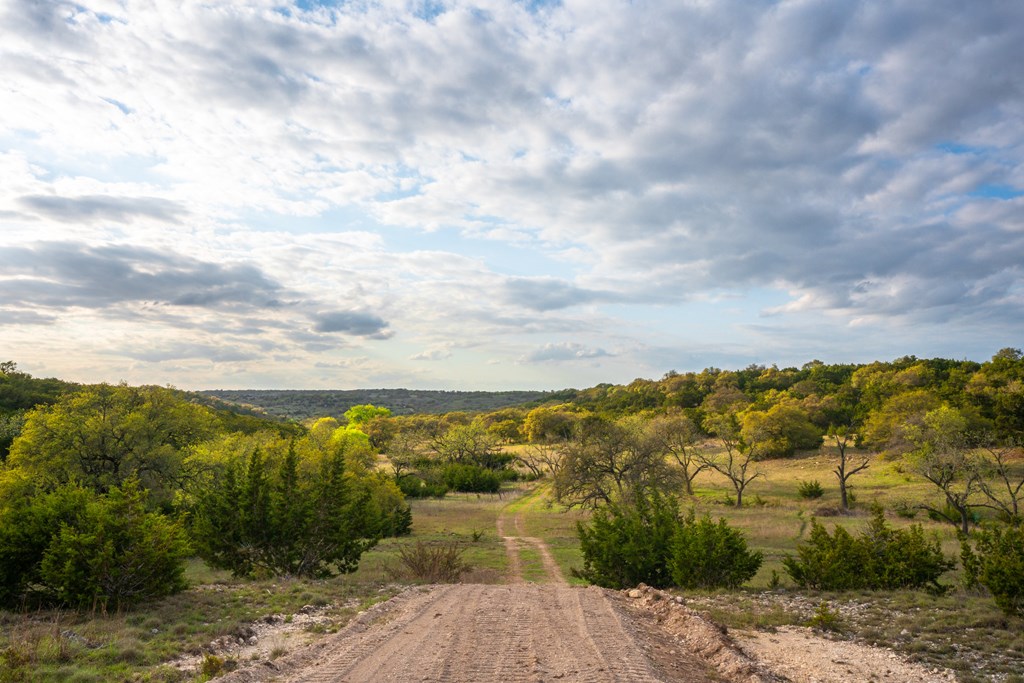 346 Crabapple Road Blanco, TX 78606 - Photo 4 of 20