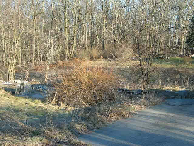 Terrace View Court Jerome, MI 49249 - Photo 2 of 7