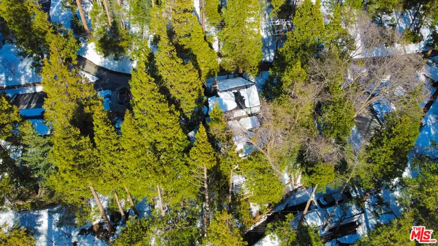 $3,200 | 233 Corona Circle, Lake Arrowhead, CA 92352