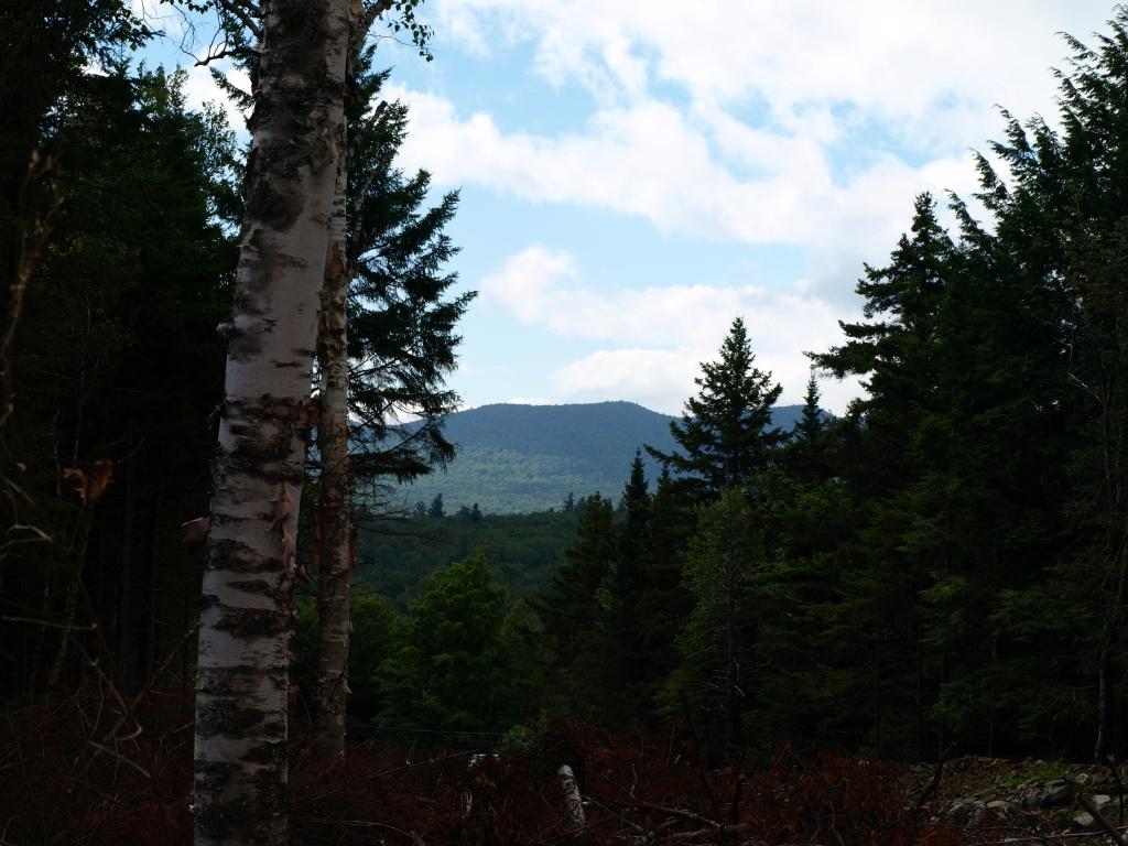 Morse Road, Unit 900 2 Jay, VT 05859 - Photo 1 of 8 Gallery Image 1