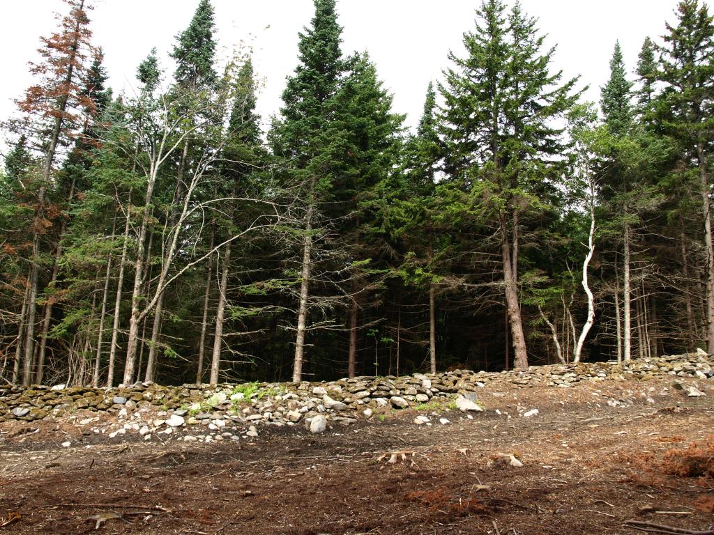 Morse Road, Unit 900 2 Jay, VT 05859 - Photo 2 of 8 Gallery Image 2