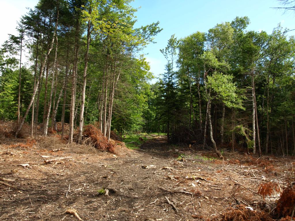 Morse Road, Unit 900 2 Jay, VT 05859 - Photo 4 of 8 Gallery Image 4