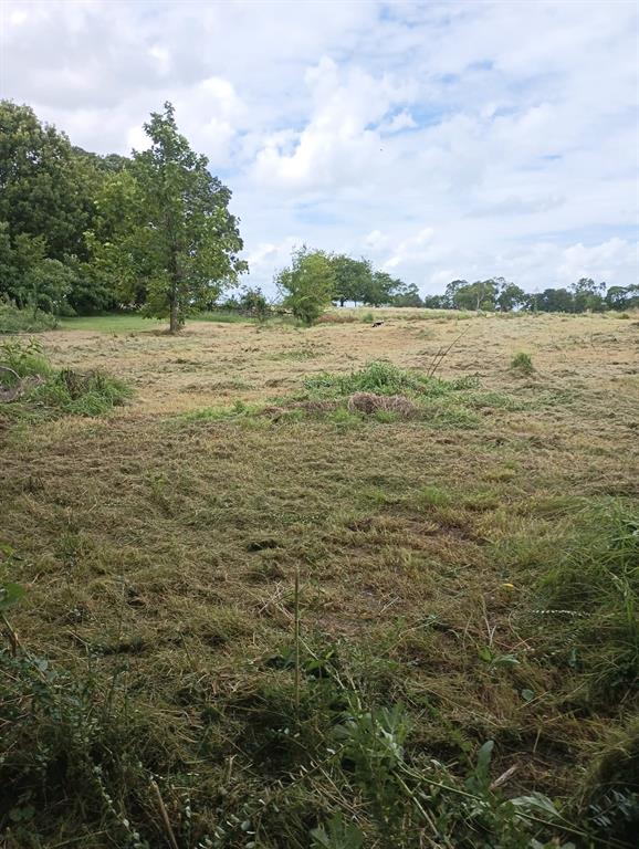 700 Vz County 3418 Road Wills Point, TX 75169 - Photo 2 of 9