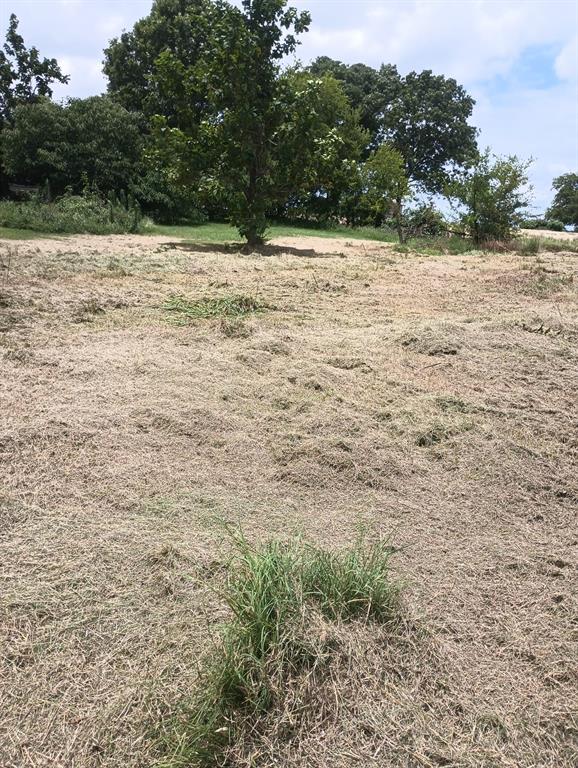 700 Vz County 3418 Road Wills Point, TX 75169 - Photo 6 of 9