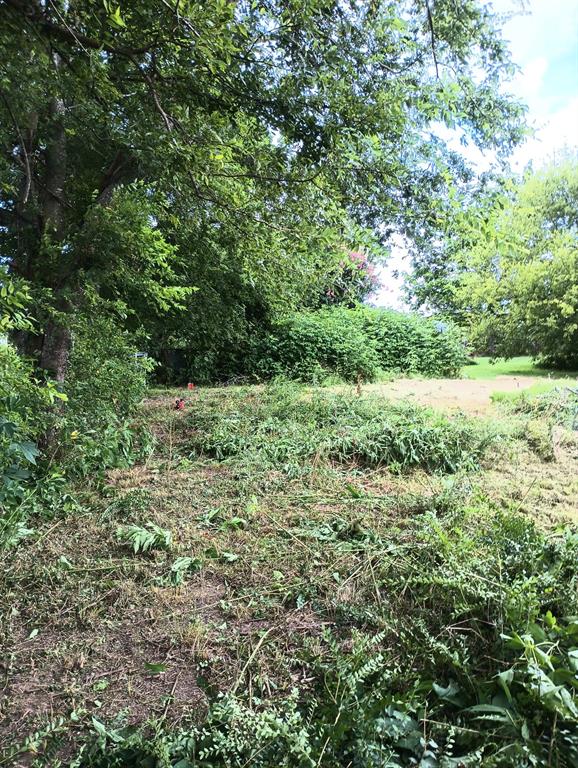 700 Vz County 3418 Road Wills Point, TX 75169 - Photo 8 of 9 a view of a lush green forest