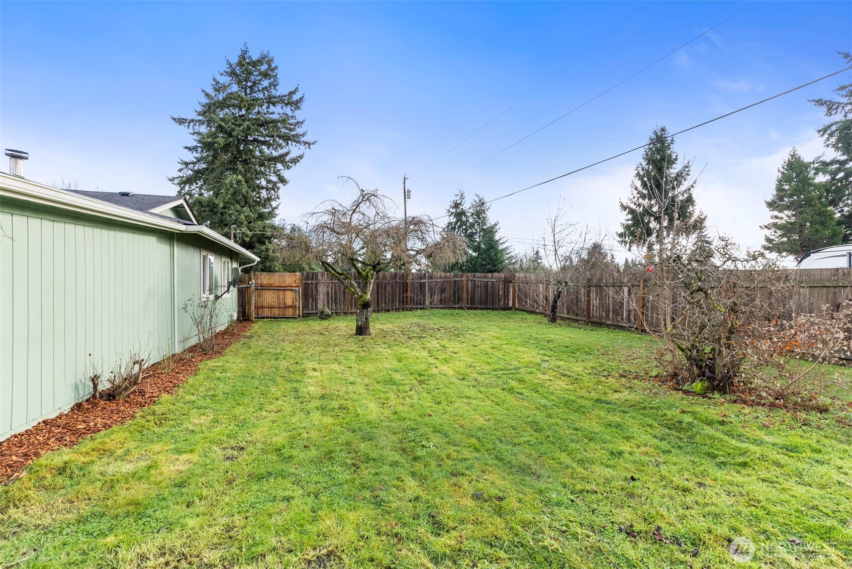 18821 Guava Street Southwest Rochester, WA 98579 - Photo 25 of 28 a view of backyard with entertaining space