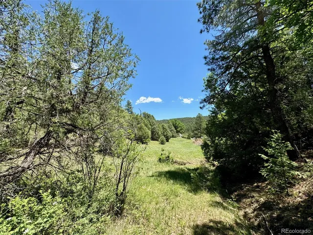 a view of a trees and barn in the background