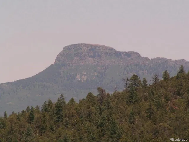 a view of a dry field with mountains in the background