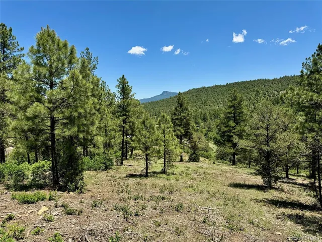 a view of a yard with trees in the background