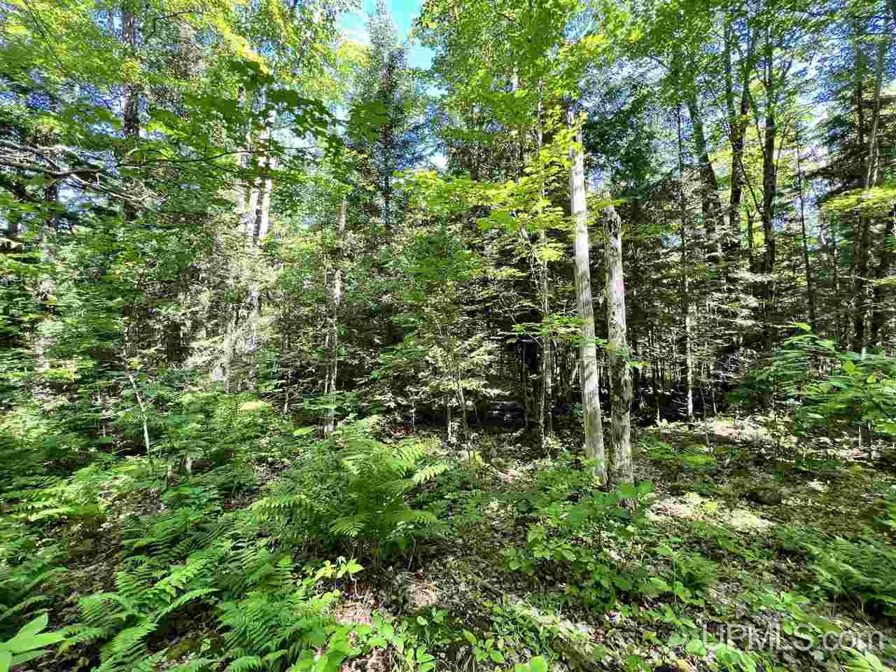 Tbd Pirkola Road Watton, MI 49970 - Photo 2 of 29