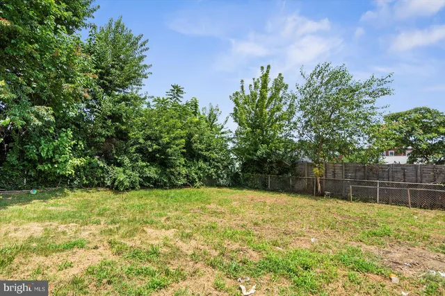 a view of a yard with a tree