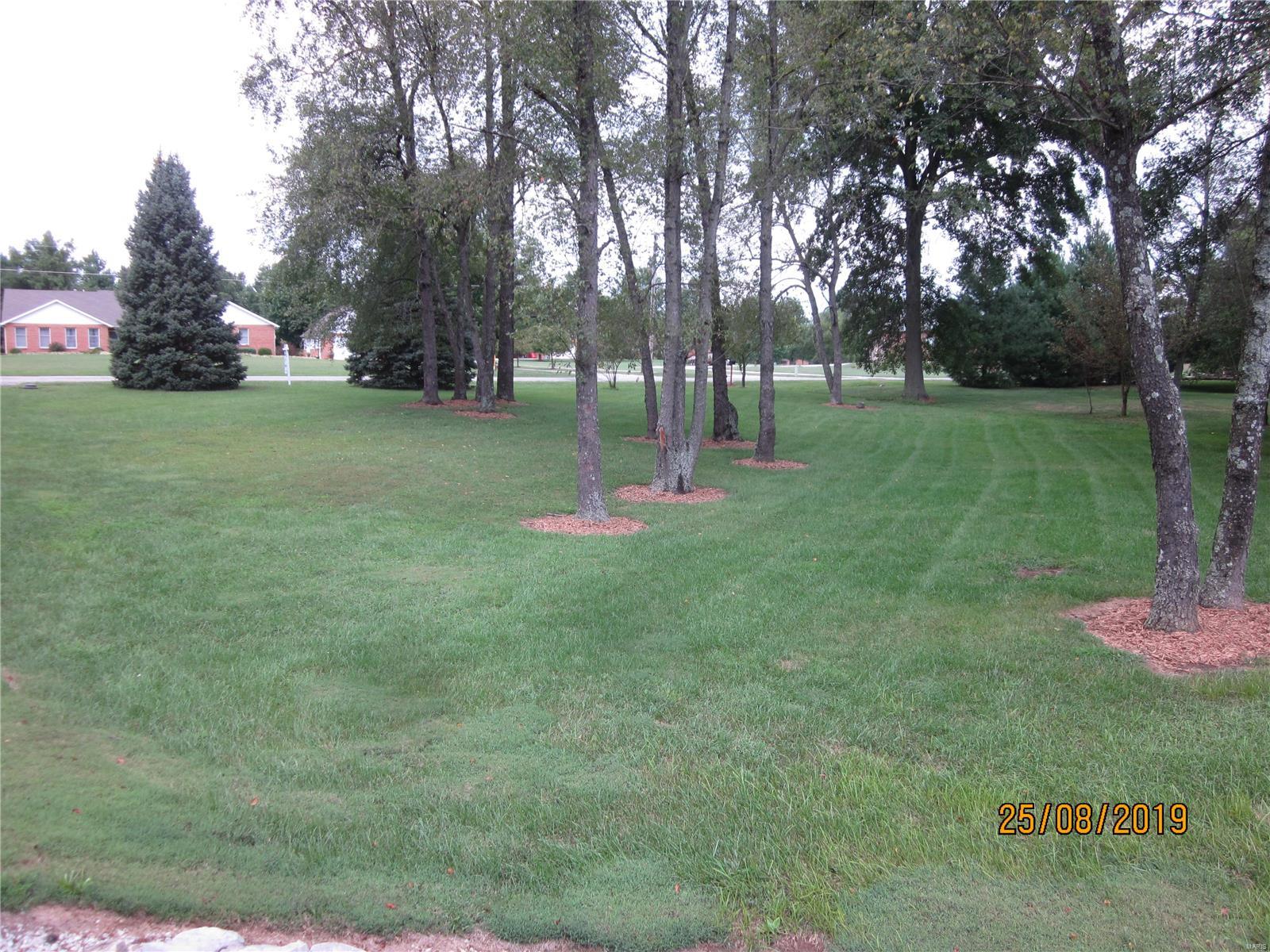 1241 Wolf Road Freeburg, IL 62243 - Photo 3 of 62