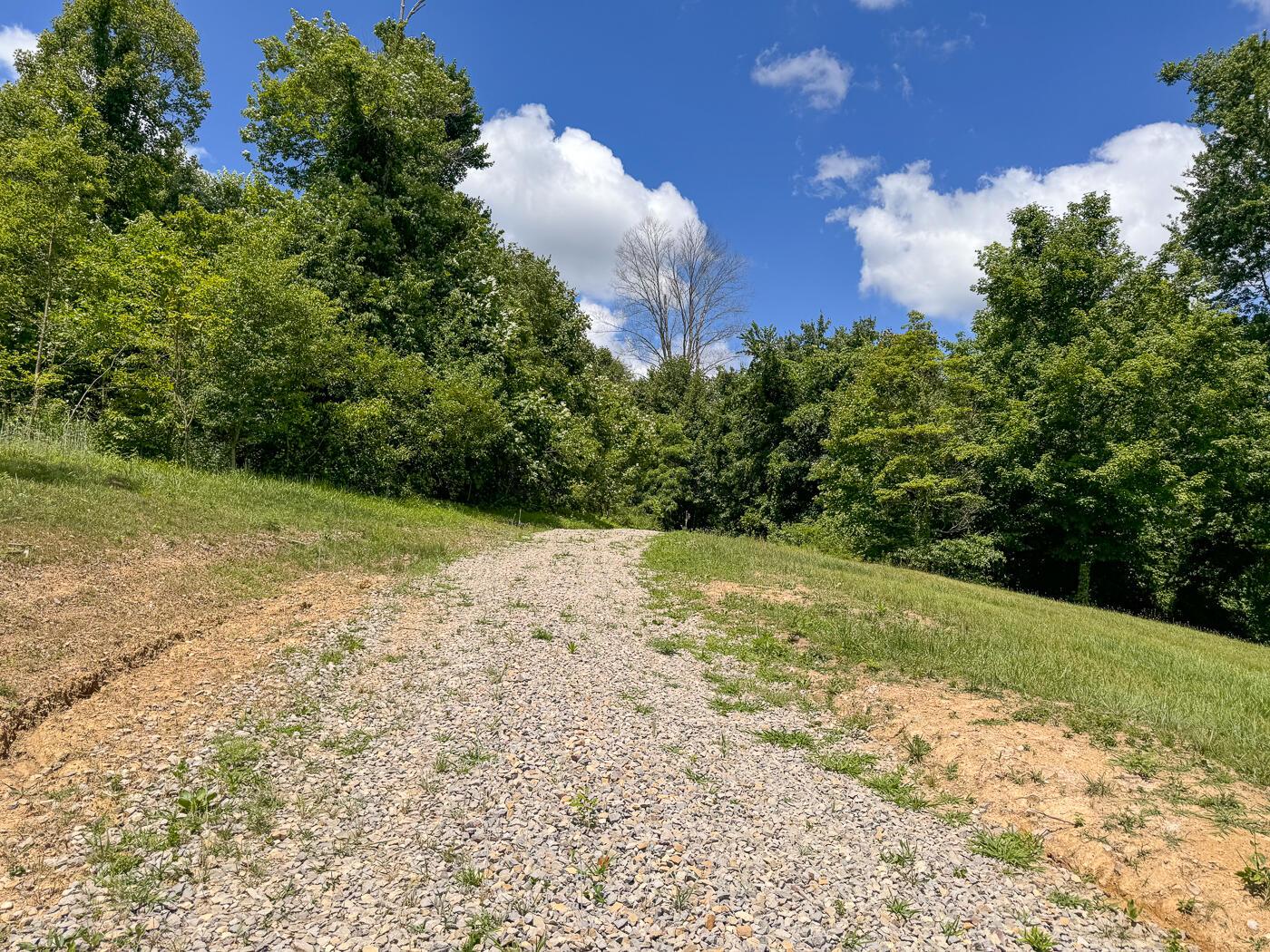 4313 Flint Ridge Road Northeast, Unit INT RIDGE TRACT 18 ACRE) Crooksville, OH 43731 - Photo 8 of 53 CT-7