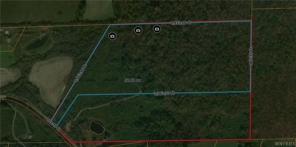 Blue line is the approximate boundary lines.