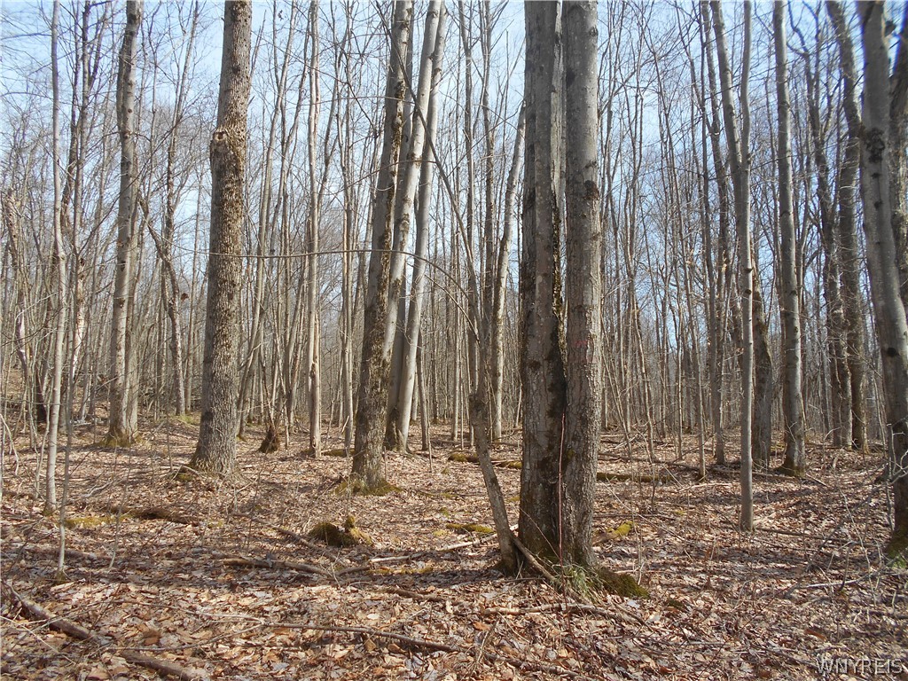 0 Bakerstand Road Machias, NY 14101 - Photo 11 of 12