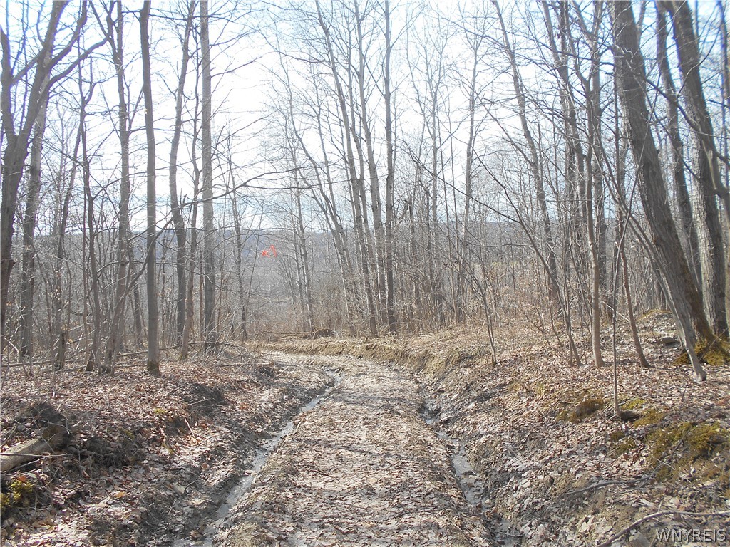 0 Bakerstand Road Machias, NY 14101 - Photo 12 of 12