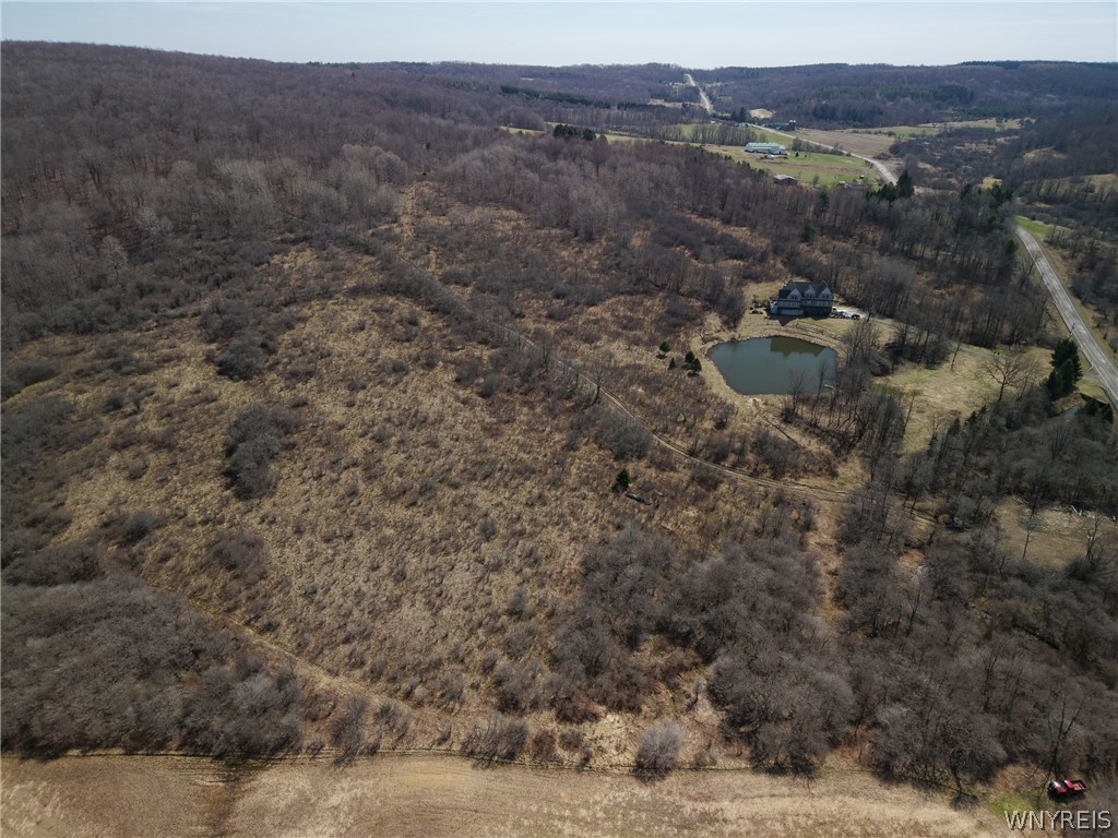 0 Bakerstand Road Machias, NY 14101 - Photo 2 of 12 Pond and House are not included in purchase.