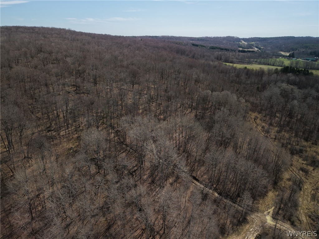 0 Bakerstand Road Machias, NY 14101 - Photo 3 of 12