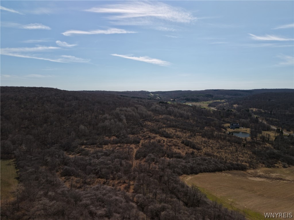 0 Bakerstand Road Machias, NY 14101 - Photo 4 of 12