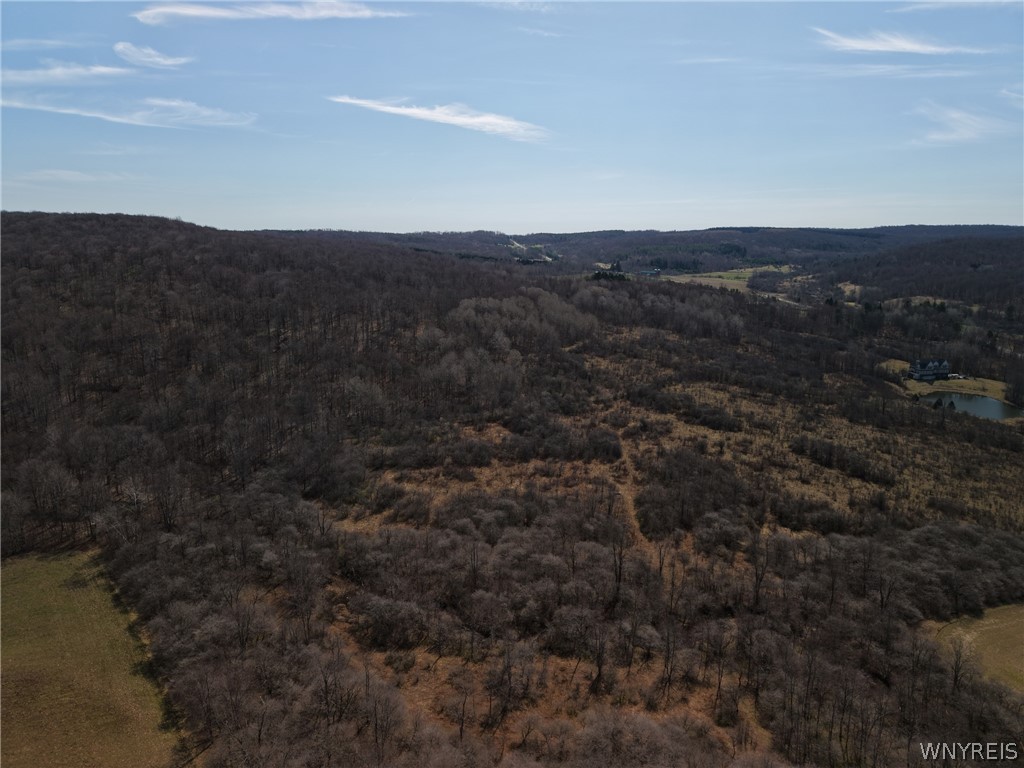 0 Bakerstand Road Machias, NY 14101 - Photo 5 of 12