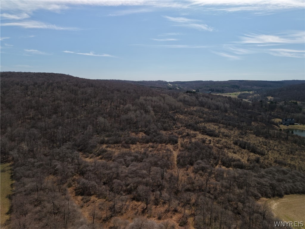 0 Bakerstand Road Machias, NY 14101 - Photo 6 of 12