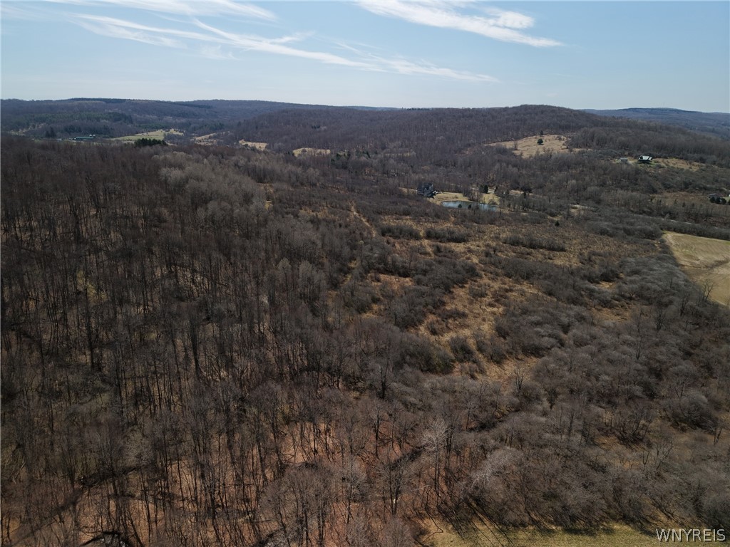 0 Bakerstand Road Machias, NY 14101 - Photo 7 of 12