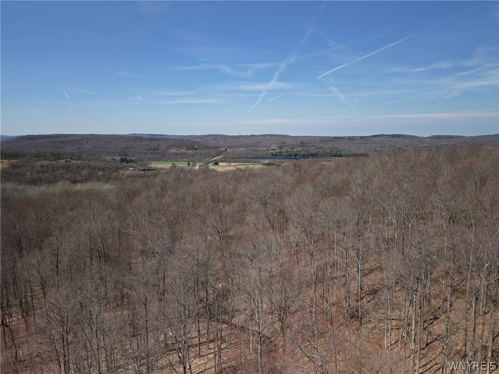 0 Bakerstand Road Machias, NY 14101 - Photo 8 of 12