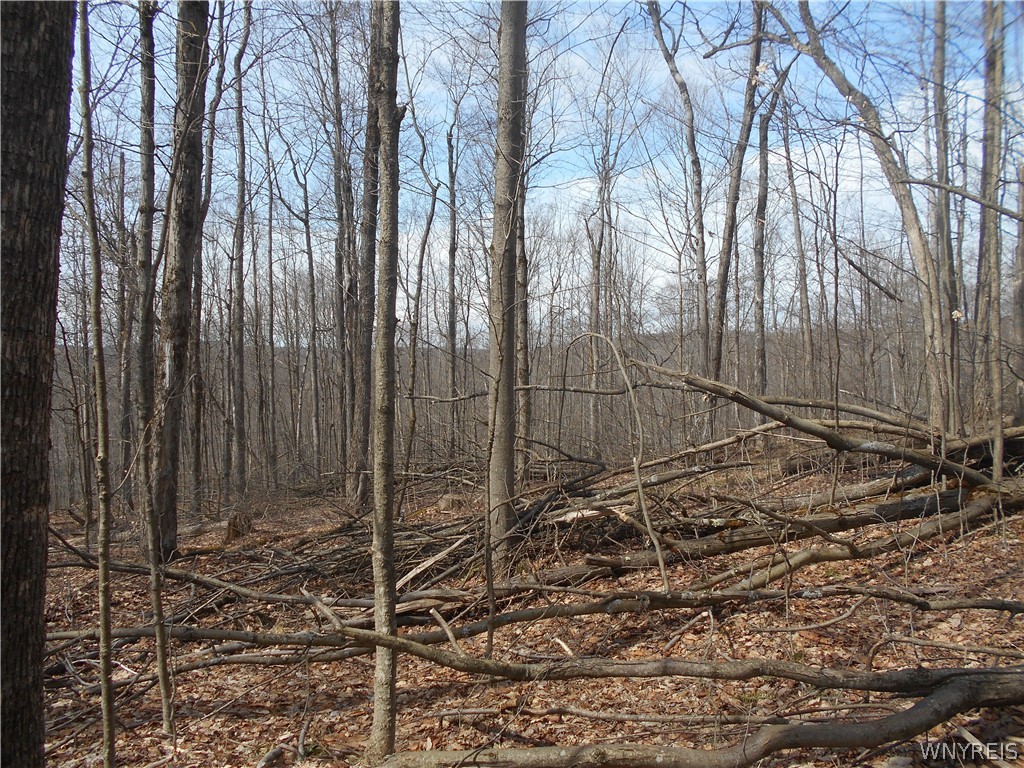 0 Bakerstand Road Machias, NY 14101 - Photo 10 of 12