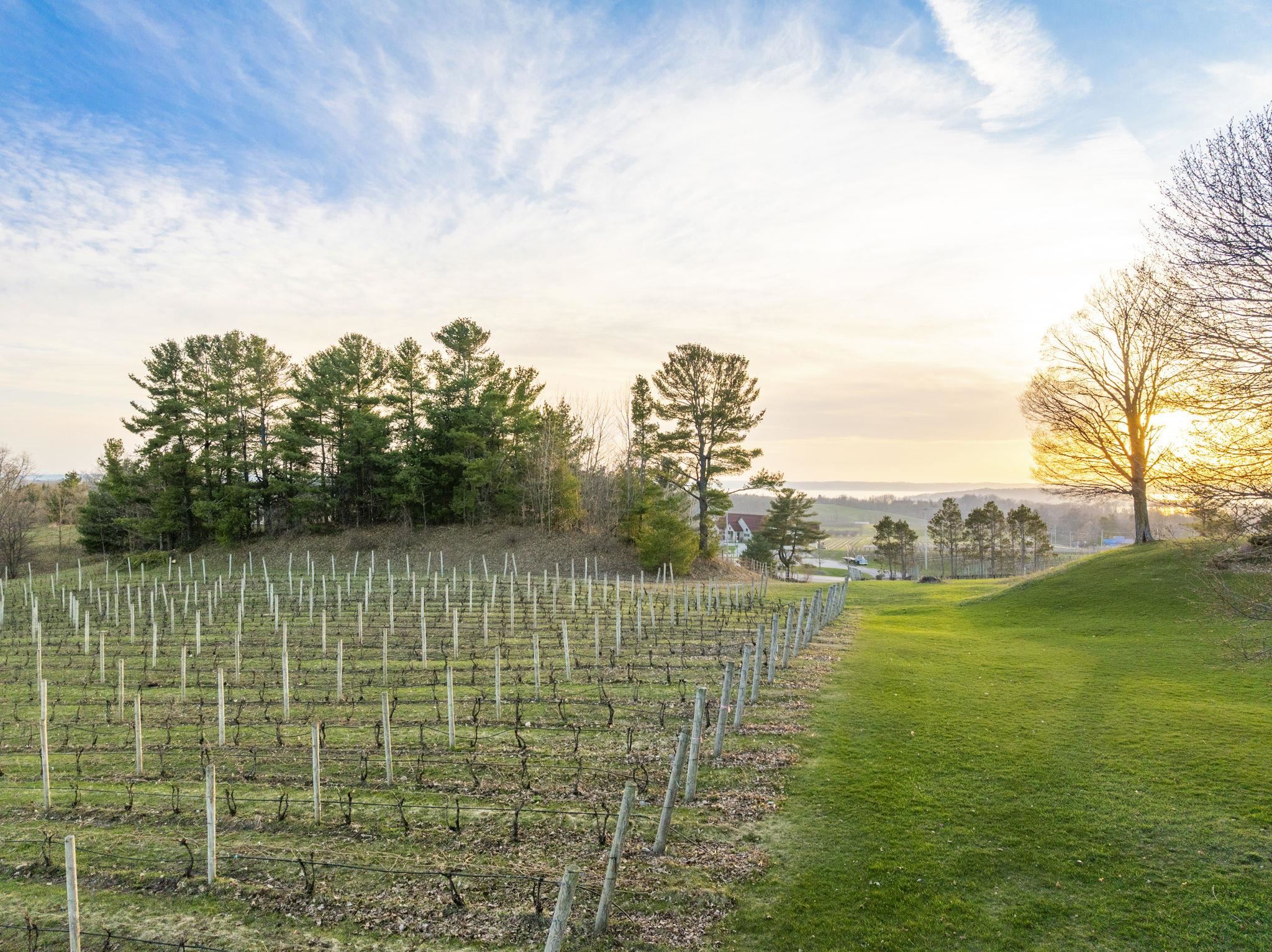 2770 Nelson Road Traverse City, MI 49686 - Photo 72 of 80