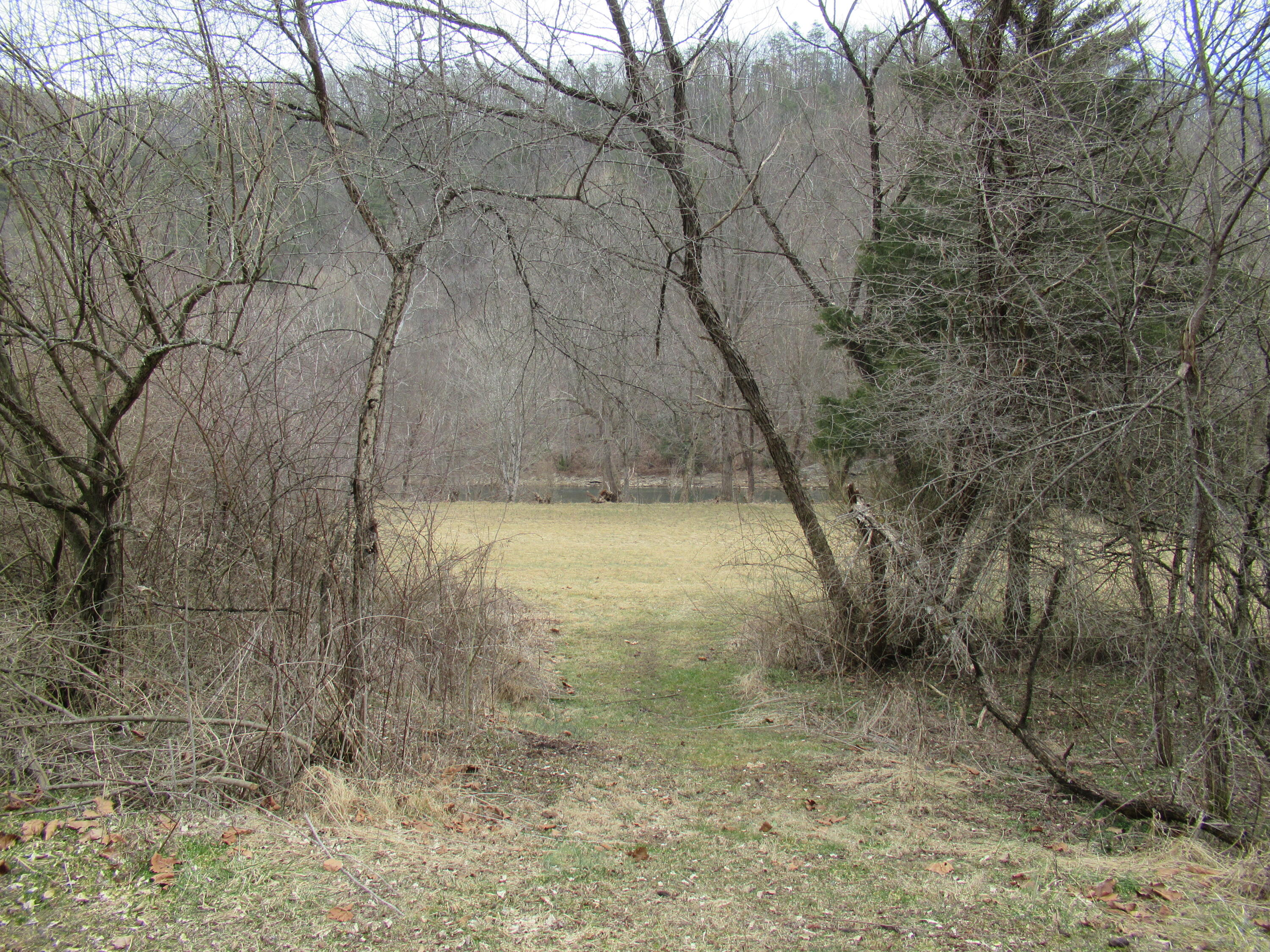 Lot 17 Spice Run Road Hillsboro, WV 24946 - Photo 12 of 12 Gallery Image 12