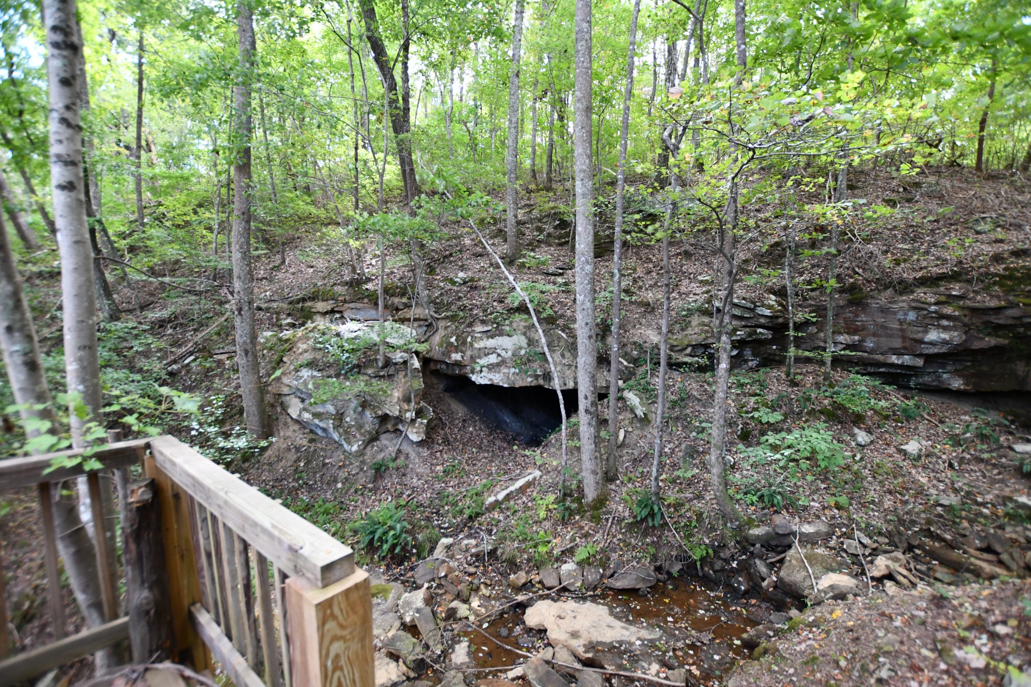 365 Jackson Point Road Sewanee, TN 37375 - Photo 56 of 62 Gallery Image 56
